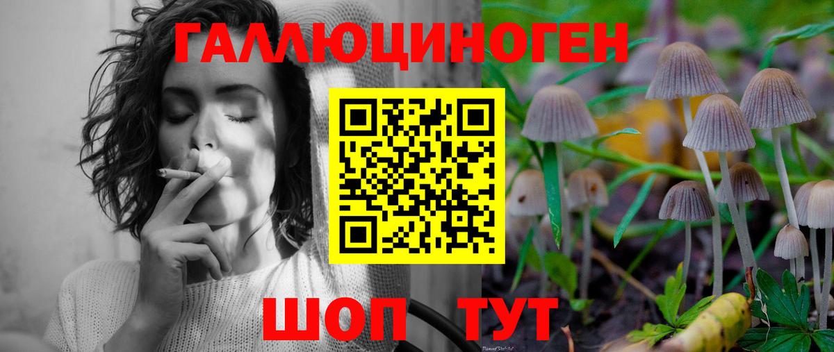 Ейск  Галлюциногенные грибы ЛСД  Вход с VPN 